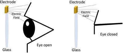 Energy-efficient, low-latency, and non-contact eye blink detection with capacitive sensing